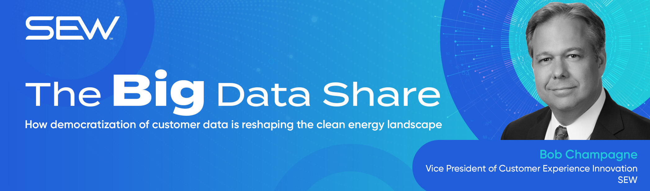 The Big Data Share